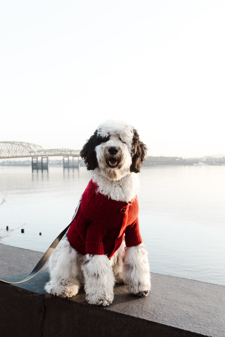 Brooklyn Cashmere Cardigan, Garnet XL Sweaters BESPOKE PAWS