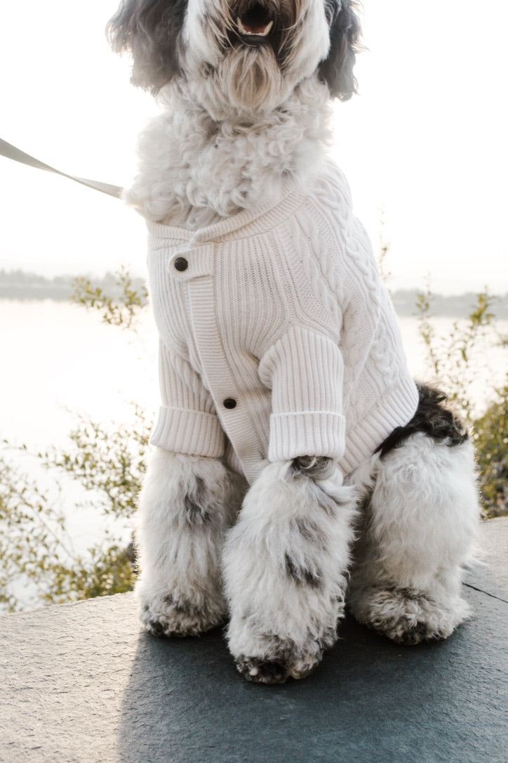 Brooklyn Cashmere Cardigan—NYC Designer Original XL Powder Blue Sweaters BESPOKE PAWS