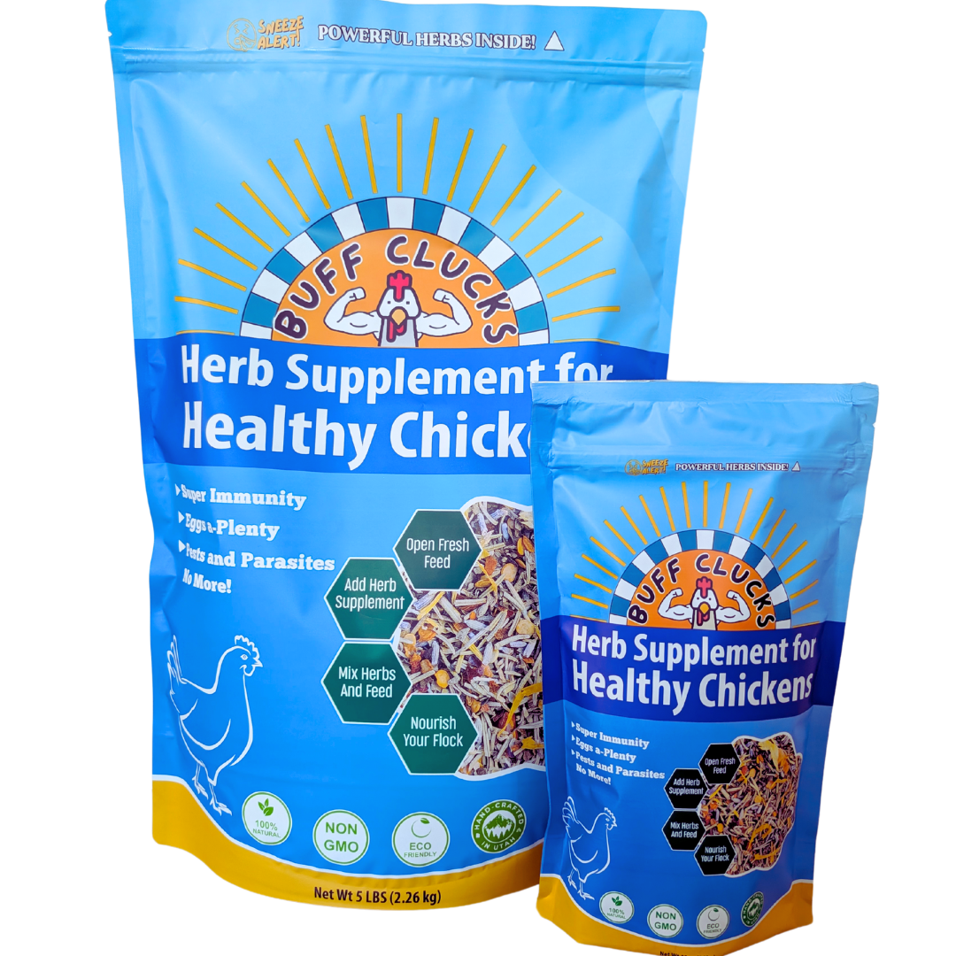 Herb Supplement For Backyard Chickens Chicken Treat Buff Clucks