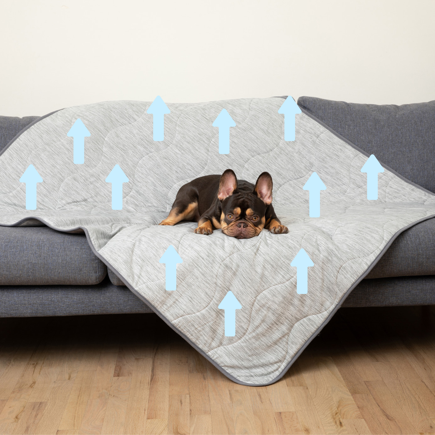 PupChill™ Cooling Waterproof Blanket - Arctic Grey Paw.com