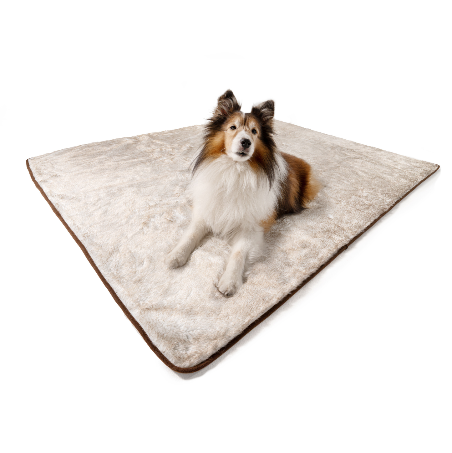 PupProtector™ Summer Short Fur Waterproof Throw Blanket - White with Brown Accents Dog Blanket Paw