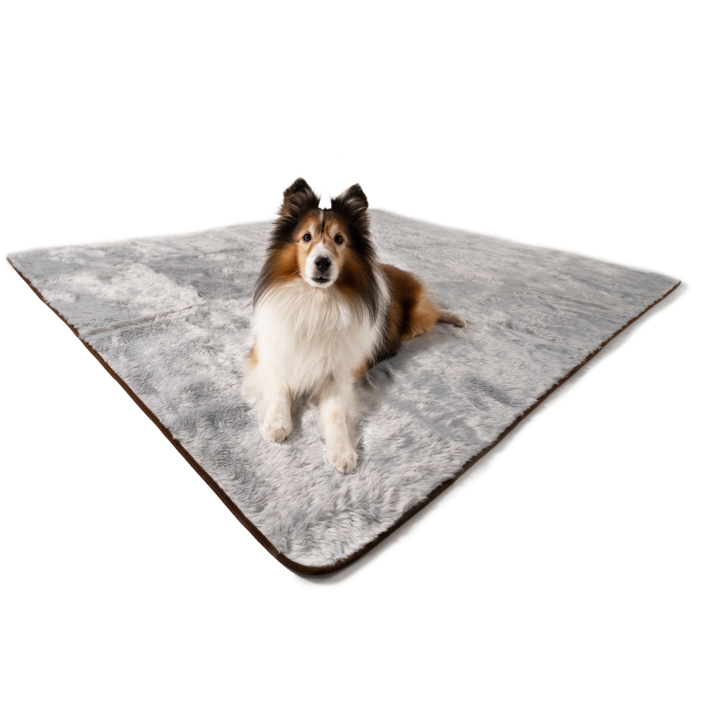 PupProtector™ Summer Short Fur Waterproof Throw Blanket - Grey Dog Blanket Paw.com