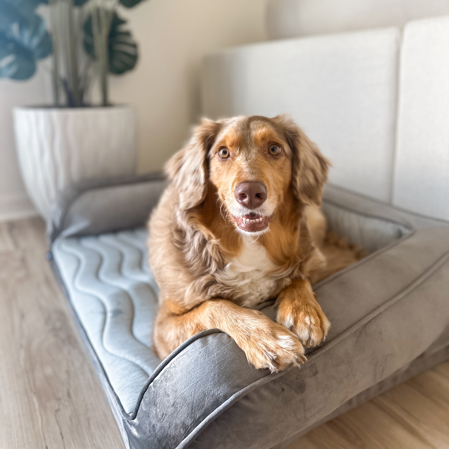 PupChill™ Cooling Bolster Dog Bed Paw