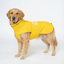 WildGuard Rain Coat Rain Coat The Wild Paw