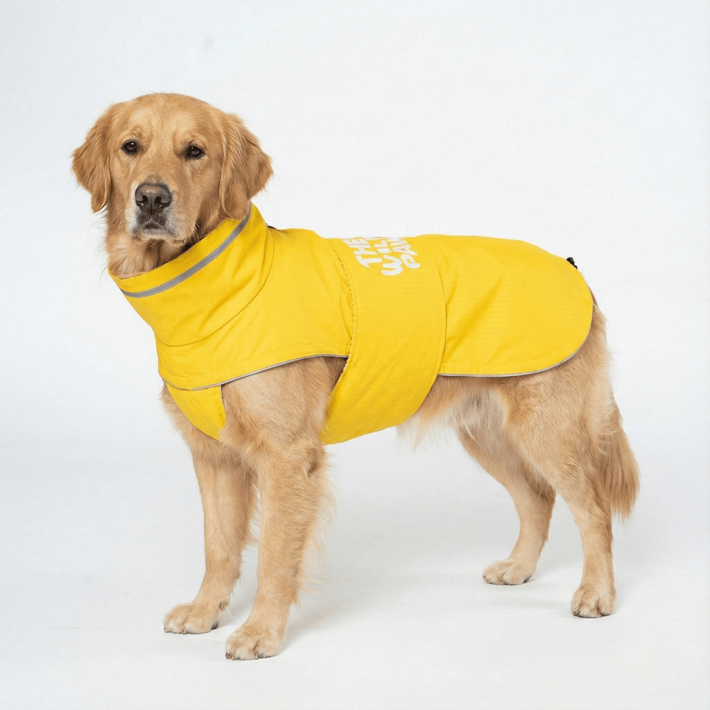 WildGuard Rain Coat Rain Coat The Wild Paw