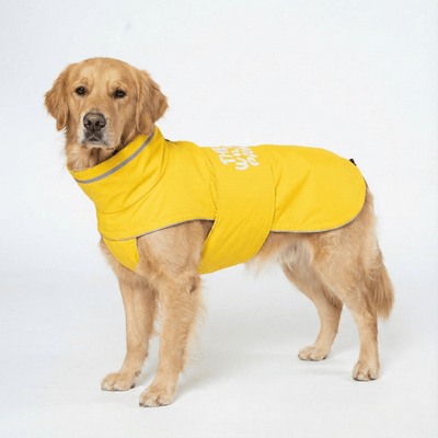 WildGuard Rain Coat Rain Coat The Wild Paw