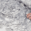 PupProtector™ Luxe Waterproof Faux Fur Blanket - Ultra Plush Arctic Fox Dog Blanket Paw