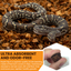 ReptiChip Coarse Coconut Chip Mix; Ready to Use Substrate ReptiChip LLC
