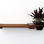 Cat Plant Stand for Wall Cat shelves/bed Catastrophic Creations
