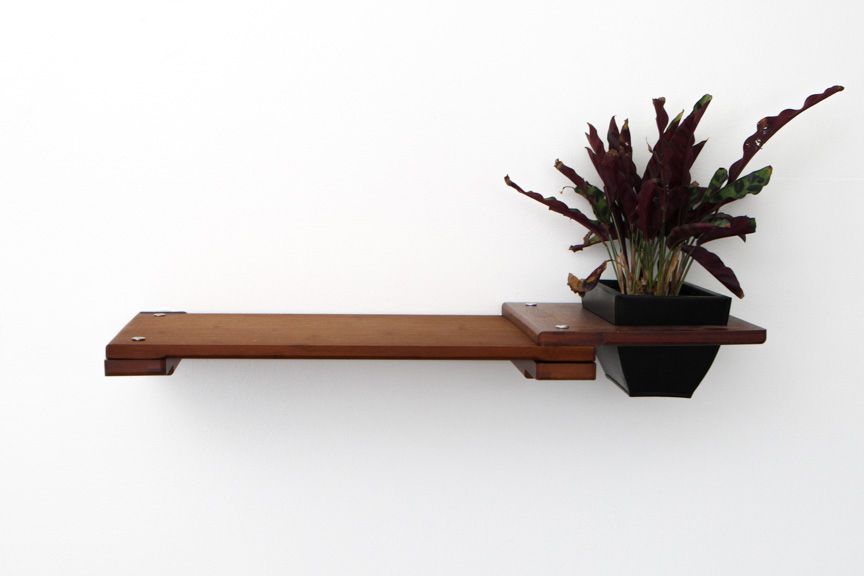 Cat Plant Stand for Wall Cat shelves/bed Catastrophic Creations