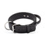 Viper Biothane Working Dog Collar + Built-in Handle - Stainless Steel Hardware 2" Dog Collars Dogline