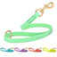 Viper Biothane Traffic Lead - Brass Hardware Dog Leashes Dogline