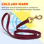 Biothane Working Dog Lead 4ft Leashes, Biothane Dog Leads Dogline