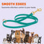 Biothane Working Dog Lead 4ft Leashes, Biothane Dog Leads Dogline
