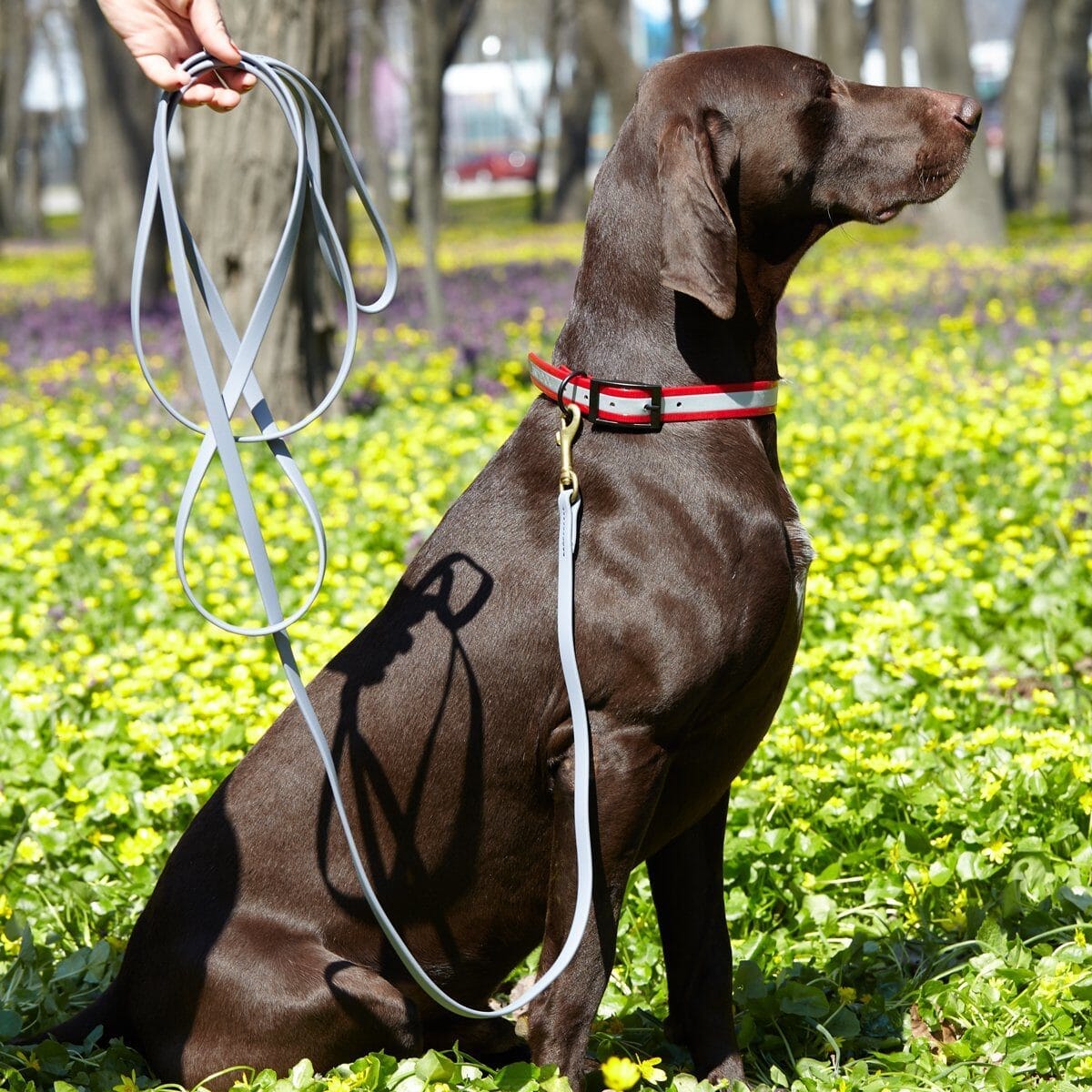 Biothane Working Dog Lead 6ft Leashes, Biothane Dog Leads Dogline