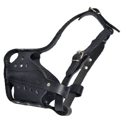 Viper Bravo Leather Agitation Muzzle with Quick Release Buckle Muzzles Dogline