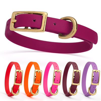 Viper Biothane Waterproof Dog Collar with Brass Hardware Dog Collars Dogline