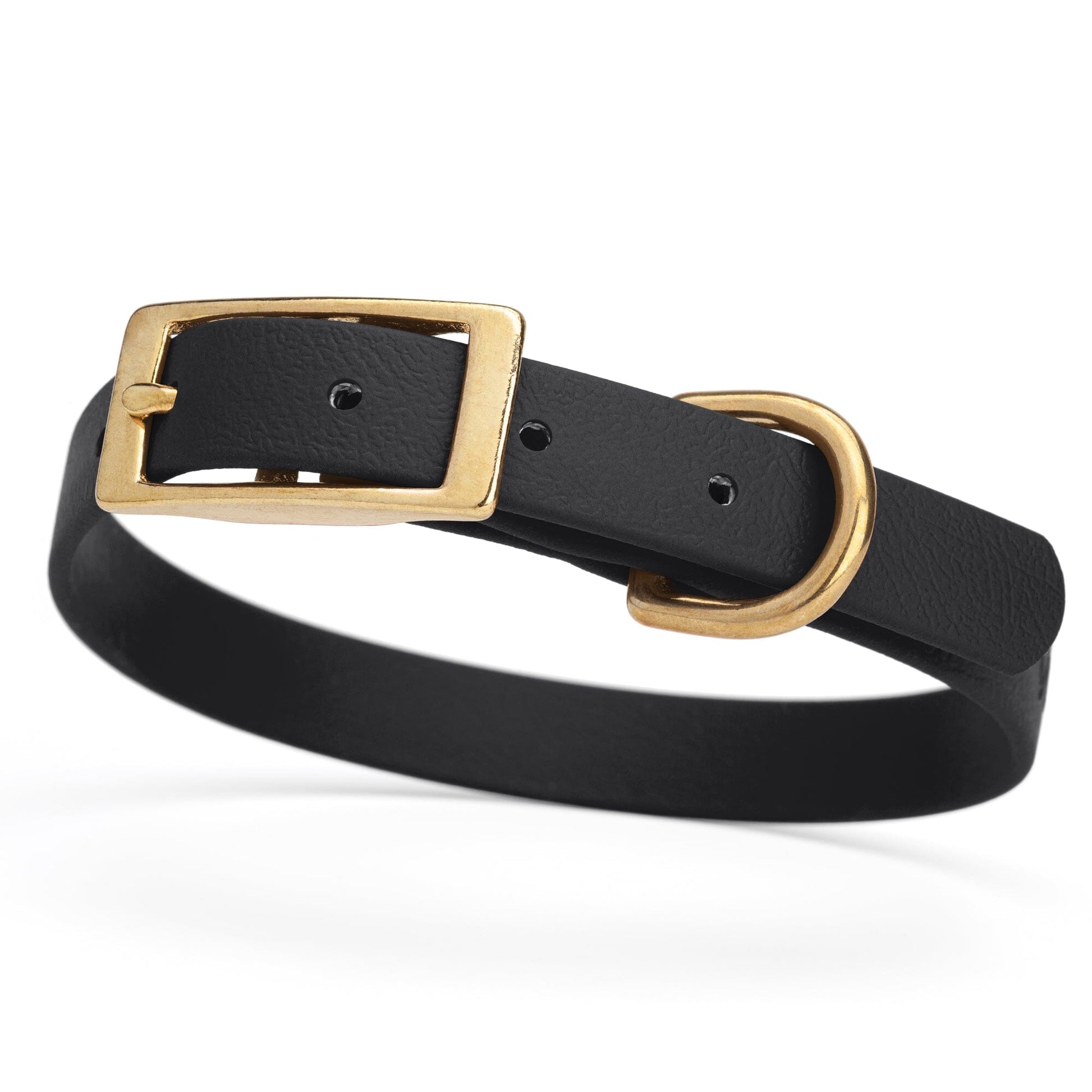 BioThane Waterproof Dog Collar - XS: L 12"-15" x W 5/8" - Black OR Brass Hardware Black L 12"-15" x W 5 8" Brass Dog Collars Dogline