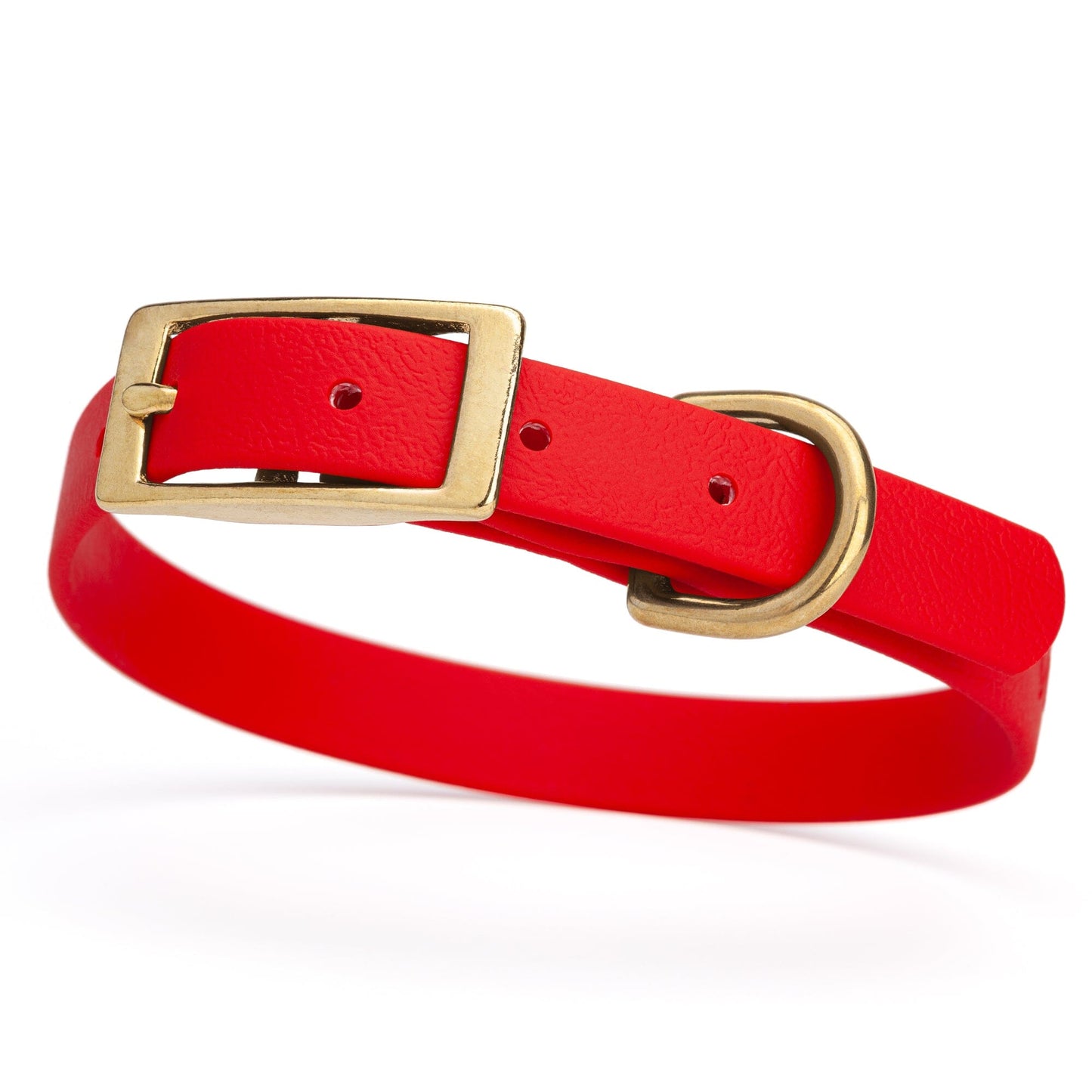 BioThane Waterproof Dog Collar - XS: L 12"-15" x W 5/8" - Black OR Brass Hardware Cherry Red L 12"-15" x W 5 8" Brass Dog Collars Dogline