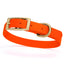 BioThane Waterproof Dog Collar - XS: L 12"-15" x W 5/8" - Black OR Brass Hardware Hunter Orange L 12"-15" x W 5 8" Brass Dog Collars Dogline