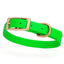 BioThane Waterproof Dog Collar - XS: L 12"-15" x W 5/8" - Black OR Brass Hardware Tropical Green L 12"-15" x W 5 8" Brass Dog Collars Dogline