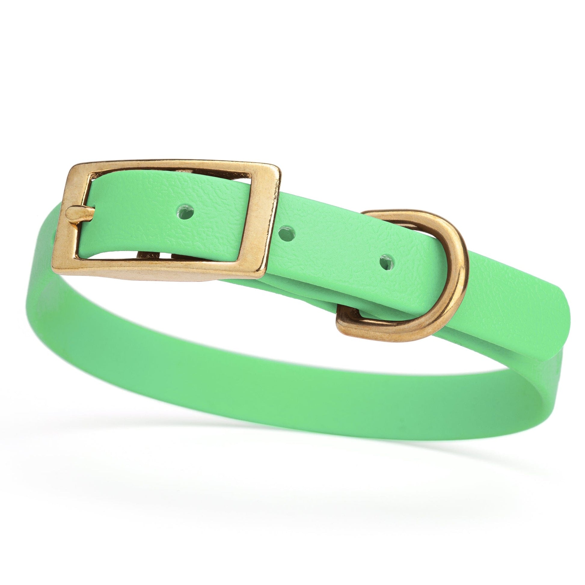BioThane Waterproof Dog Collar - XS: L 12"-15" x W 5/8" - Black OR Brass Hardware Sea Foam Green L 12"-15" x W 5 8" Brass Dog Collars Dogline