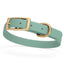 BioThane Waterproof Dog Collar - XS: L 12"-15" x W 5/8" - Black OR Brass Hardware Sage Green L 12"-15" x W 5 8" Brass Dog Collars Dogline