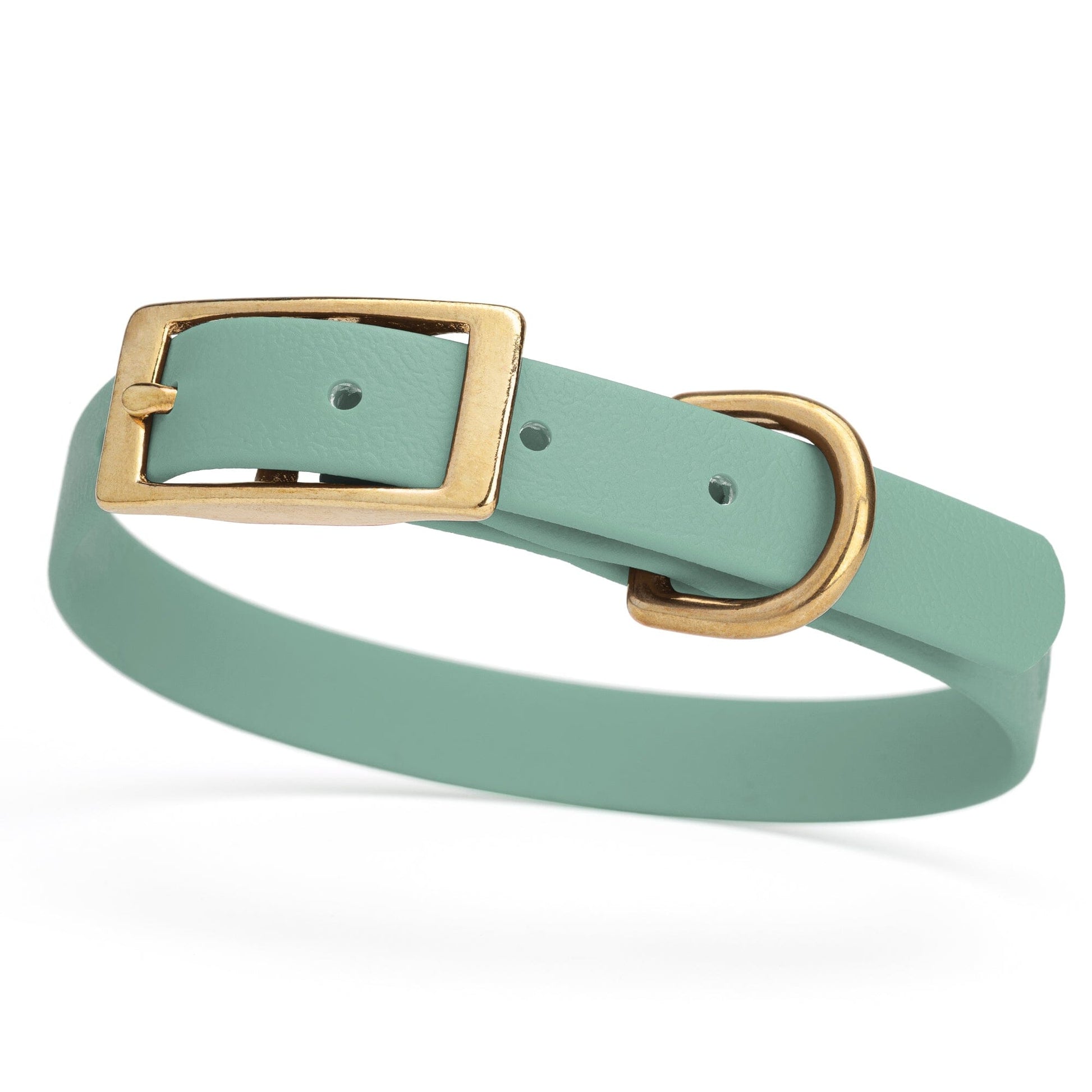 BioThane Waterproof Dog Collar - XS: L 12"-15" x W 5/8" - Black OR Brass Hardware Sage Green L 12"-15" x W 5 8" Brass Dog Collars Dogline