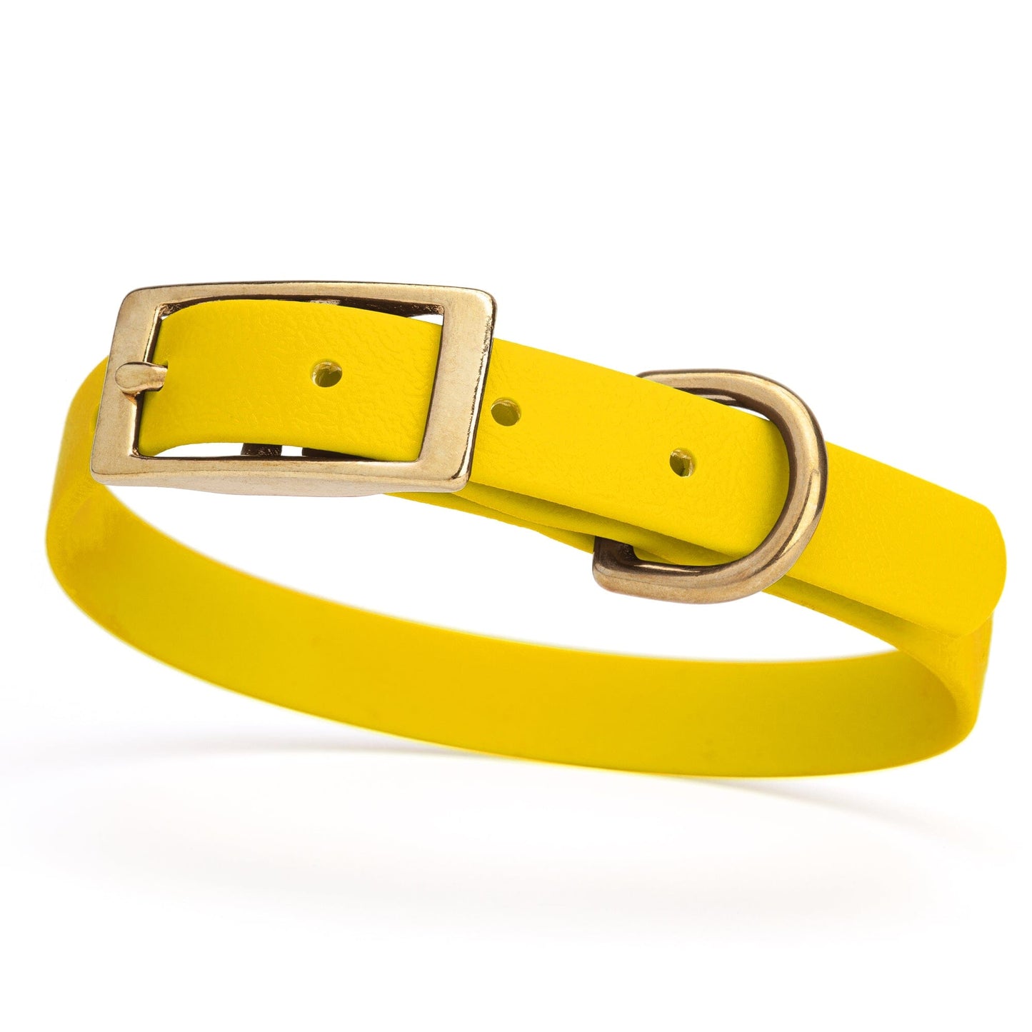 BioThane Waterproof Dog Collar - XS: L 12"-15" x W 5/8" - Black OR Brass Hardware Lemon Yellow L 12"-15" x W 5 8" Brass Dog Collars Dogline