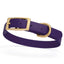 BioThane Waterproof Dog Collar - XS: L 12"-15" x W 5/8" - Black OR Brass Hardware Violet Purple L 12"-15" x W 5 8" Brass Dog Collars Dogline