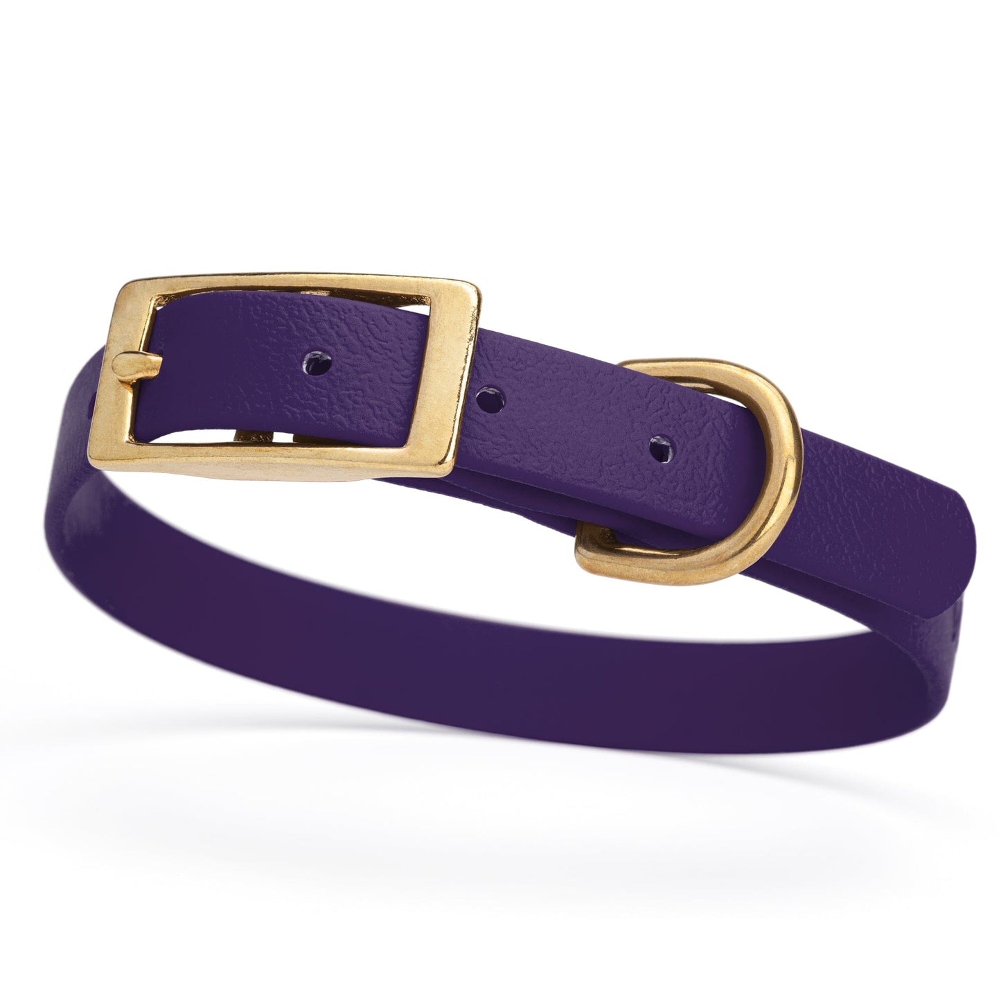 BioThane Waterproof Dog Collar - XS: L 12"-15" x W 5/8" - Black OR Brass Hardware Violet Purple L 12"-15" x W 5 8" Brass Dog Collars Dogline
