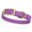 BioThane Waterproof Dog Collar - XS: L 12"-15" x W 5/8" - Black OR Brass Hardware Amethyst Purple L 12"-15" x W 5 8" Brass Dog Collars Dogline