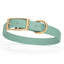 Viper Biothane Waterproof Dog Collar - Brass Hardware - Size M (15 to 18 inches) Sage Green Dog Collars Dogline