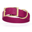 Viper Biothane Waterproof Dog Collar - Brass Hardware - 1.5in Wide, Size L (16 to 20 inches) Magenta Pink Dog Collars Dogline