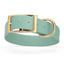 Viper Biothane Waterproof Dog Collar - Brass Hardware - 1.5in Wide, Size XXL (24 to 28 inches) Sage Green Dog Collars Dogline