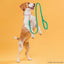 Viper Pebble Emboss BioThane Dog Leash with Solid Brass Hardware Dog Leashes Dogline
