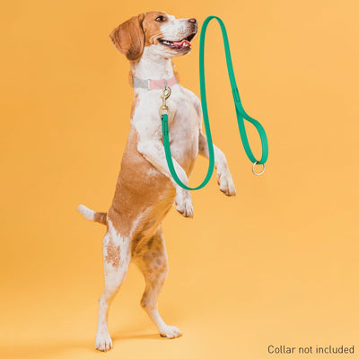 Viper Pebble Emboss BioThane Dog Leash with Solid Brass Hardware Dog Leashes Dogline