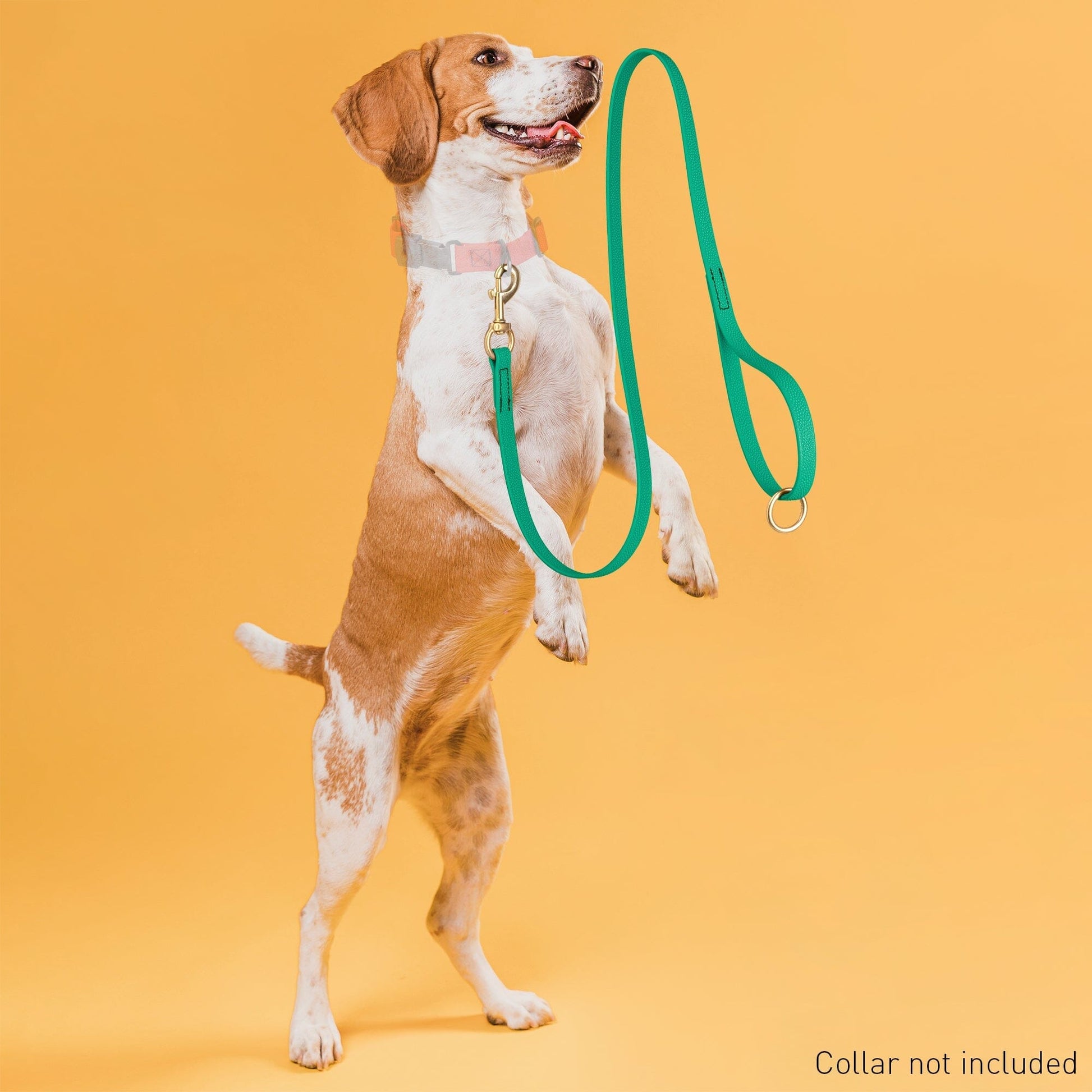 Viper Pebble Emboss BioThane Dog Leash with Solid Brass Hardware Leashes, Biothane Dog Leads Dogline