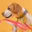 Viper Pebble Emboss BioThane Dog Leash with Solid Brass Hardware Dog Leashes Dogline