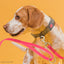 Viper Pebble Emboss BioThane Dog Leash with Solid Brass Hardware Leashes, Biothane Dog Leads Dogline