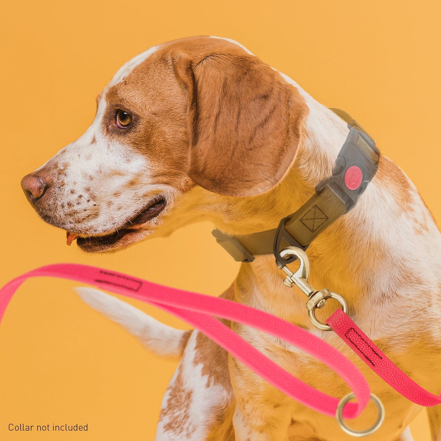 Viper Pebble Emboss BioThane Dog Leash with Solid Brass Hardware Leashes, Biothane Dog Leads Dogline