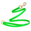 Viper Pebble Emboss BioThane Dog Leash with Solid Brass Hardware Tropical Green Dog Leashes Dogline