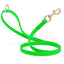 Viper Pebble Emboss BioThane Dog Leash with Solid Brass Hardware Tropical Green Dog Leashes Dogline