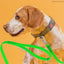 Viper Pebble Emboss Biothane Dog Leash with SPRENGER Stainless Steel Hook Dog Leashes Dogline