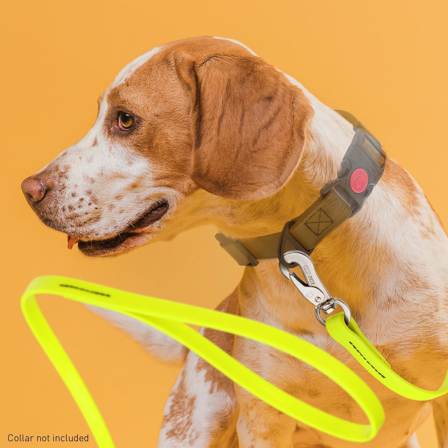 Viper Long Line 10 ft Biothane Dog Lead with SPRENGER Stainless Steel Hook Dog Leashes Dogline