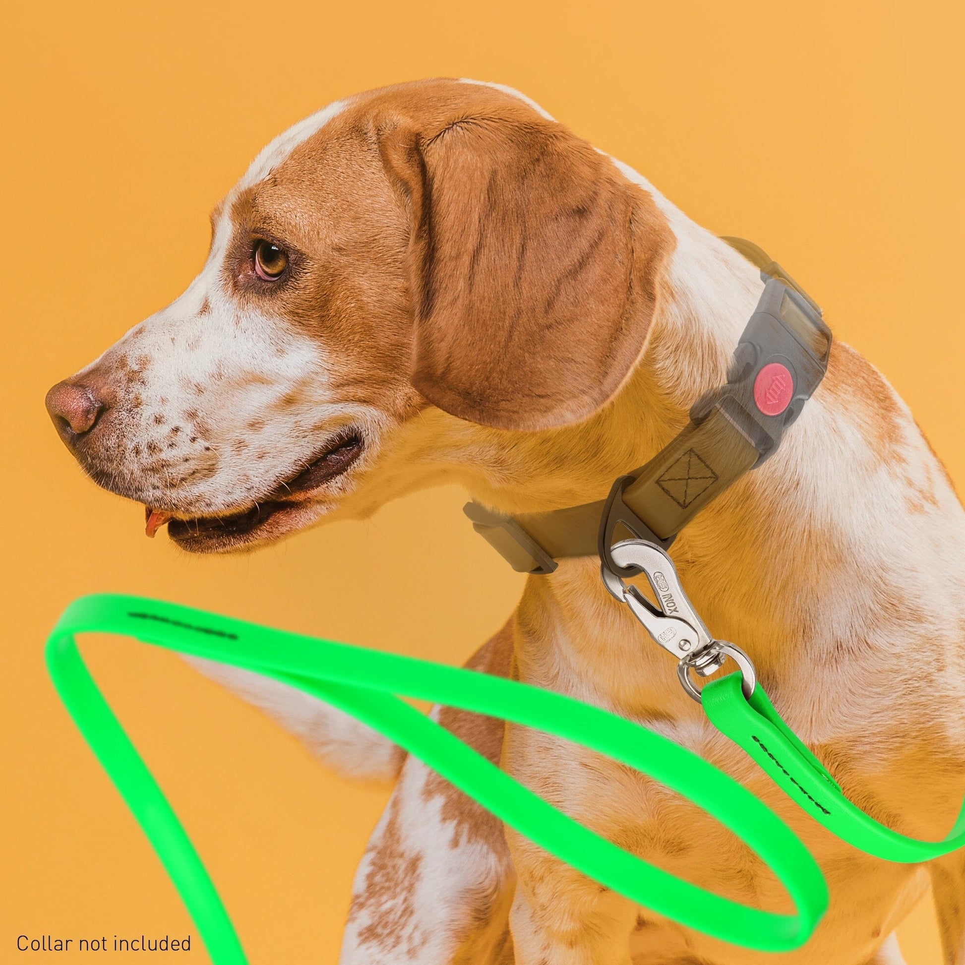 Viper Long Line 15 ft Biothane Dog Lead with SPRENGER Stainless Steel Hook Dog Leashes Dogline