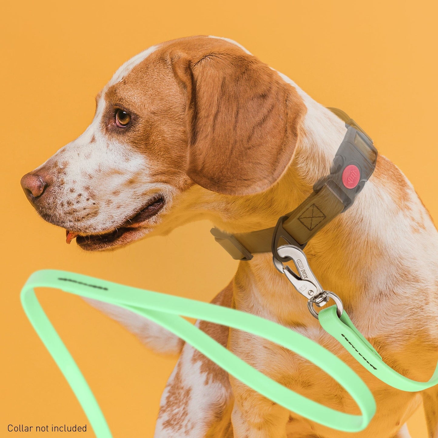 Viper Long Line 20 ft Biothane Dog Lead with SPRENGER Stainless Steel Hook Dog Leashes Dogline
