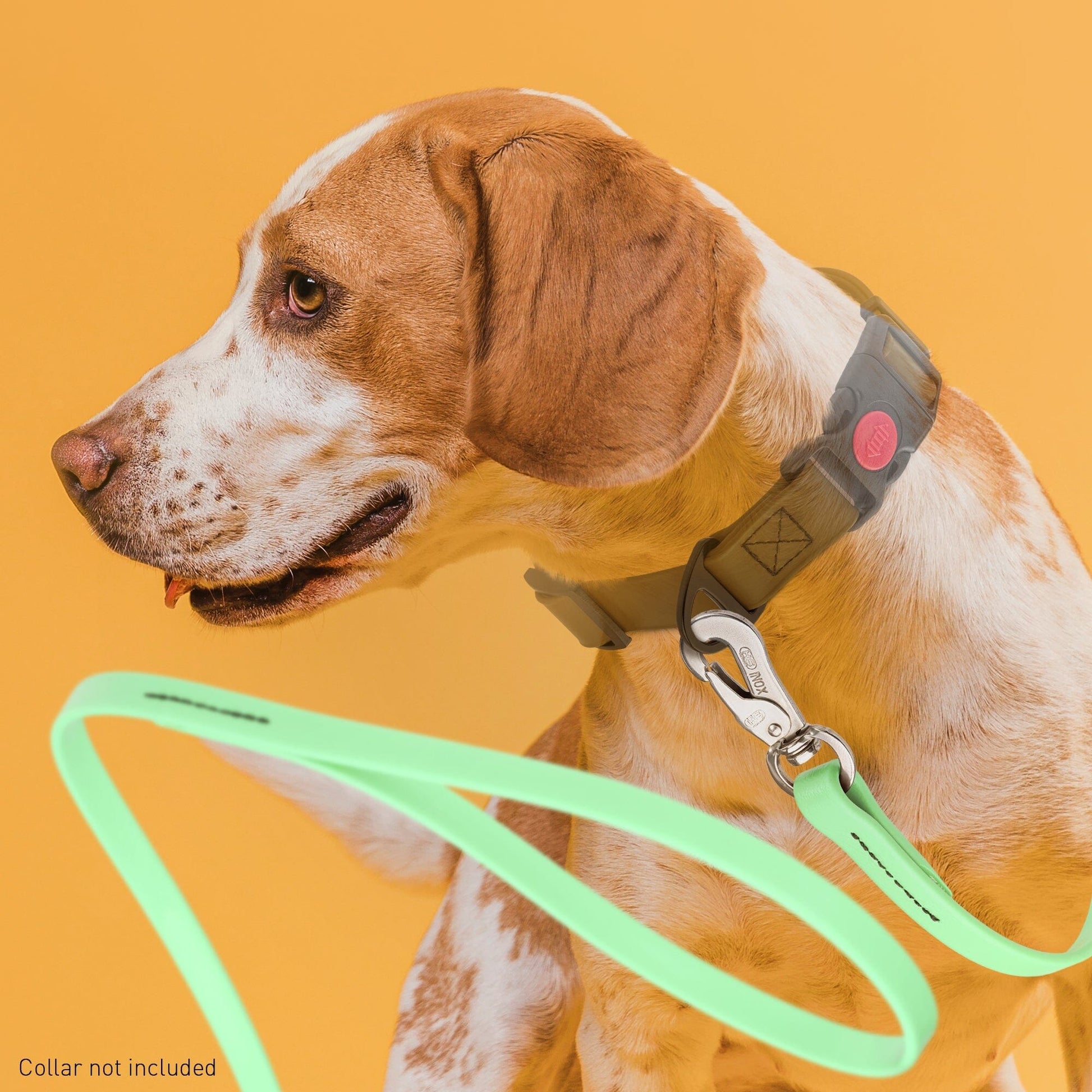 Viper Long Line 20 ft Biothane Dog Lead with SPRENGER Stainless Steel Hook Dog Leashes Dogline