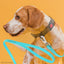 Viper Long Line 33 ft Biothane Dog Lead with SPRENGER Stainless Steel Hook Dog Leashes Dogline
