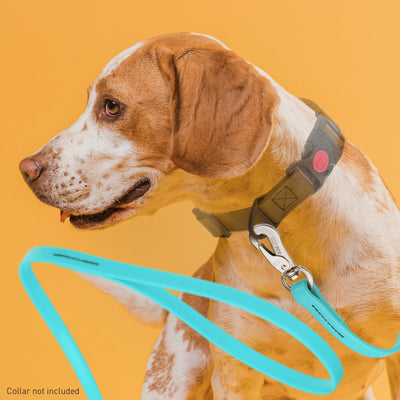 Viper Long Line 33 ft Biothane Dog Lead with SPRENGER Stainless Steel Hook Dog Leashes Dogline